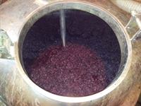 cantina_toblino_3.jpg