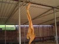 2008_2.jpg