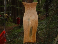 dsc05032.jpg