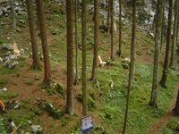 dsc05034.jpg