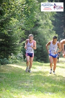 5_ponti_2013_1.jpg