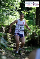 5_ponti_2013_2.jpg
