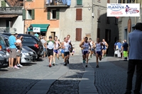 5_ponti_2013_4.jpg