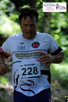 5_ponti_2013_7.jpg