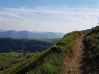 percoso_sunset_bike_2.jpg