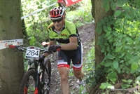 viviani.jpg