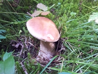 20120804_161026.jpg
