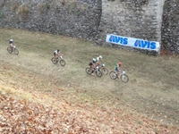 dsc03507.jpg