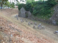 dsc03515.jpg