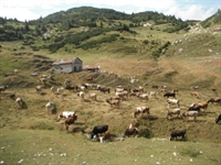 tour_crocedomini-maniva_25-08-12_031.jpg