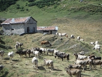 tour_crocedomini-maniva_25-08-12_032.jpg