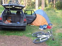 immagine_049.jpg