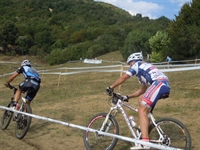 immagine_059.jpg