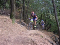 immagine_073.jpg