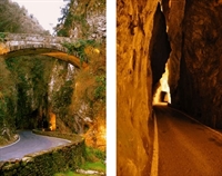 tremosine113.jpg