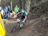 tregnago_2013__3.jpg