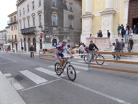 soave_2014__10.jpg