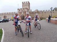 soave_2014__17.jpg
