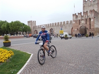 soave_2014__18.jpg