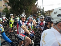 soave_2014__2.jpg