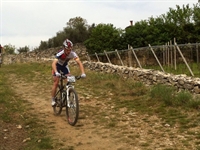 soave_2014__20.jpg