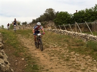 soave_2014__21.jpg