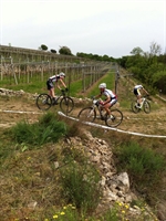soave_2014__22.jpg