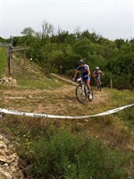 soave_2014__24.jpg