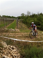 soave_2014__25.jpg