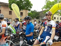 soave_2014__7.jpg