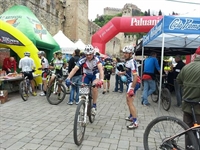 soave_2014__8.jpg