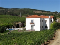 azienda.jpg