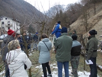 corso_potatura_2013__3.jpg