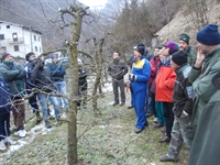 corso_potatura_2013__4.jpg