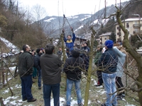 corso_potatura_2013__5.jpg