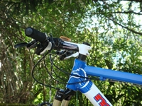 polisportiva_bike__6.jpg