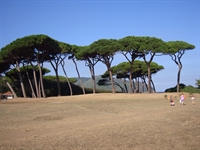 baratti.jpg