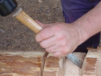 dsc07493.jpg
