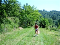 dscf1090.jpg