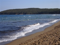 mare.jpg