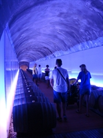 tunnel.jpg