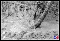 AD ASOLA LA PRIMA DELL'EASY CUP MTB