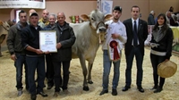 E' DI PERTICA BASSA LA CAMPIONESSA DELLE BRUNE BRESCIANE